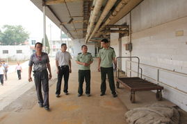 筑牢“粮仓”防火墙——新乡原阳县大队开展粮食贮藏场所及食品加工企业消防安全专项检查