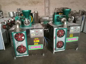 杂粮面条新趋势 家用钢丝面机引领健康饮食新风尚