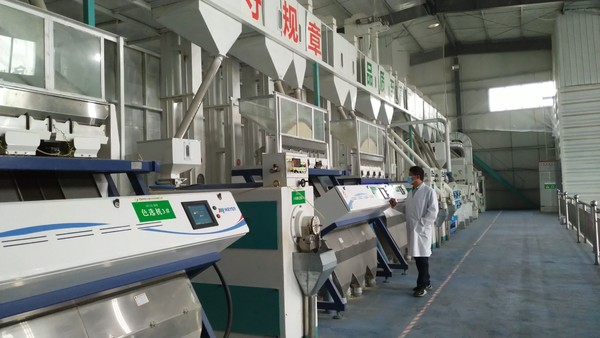 大米加工生产制度 确保粮食加工食品质量与安全